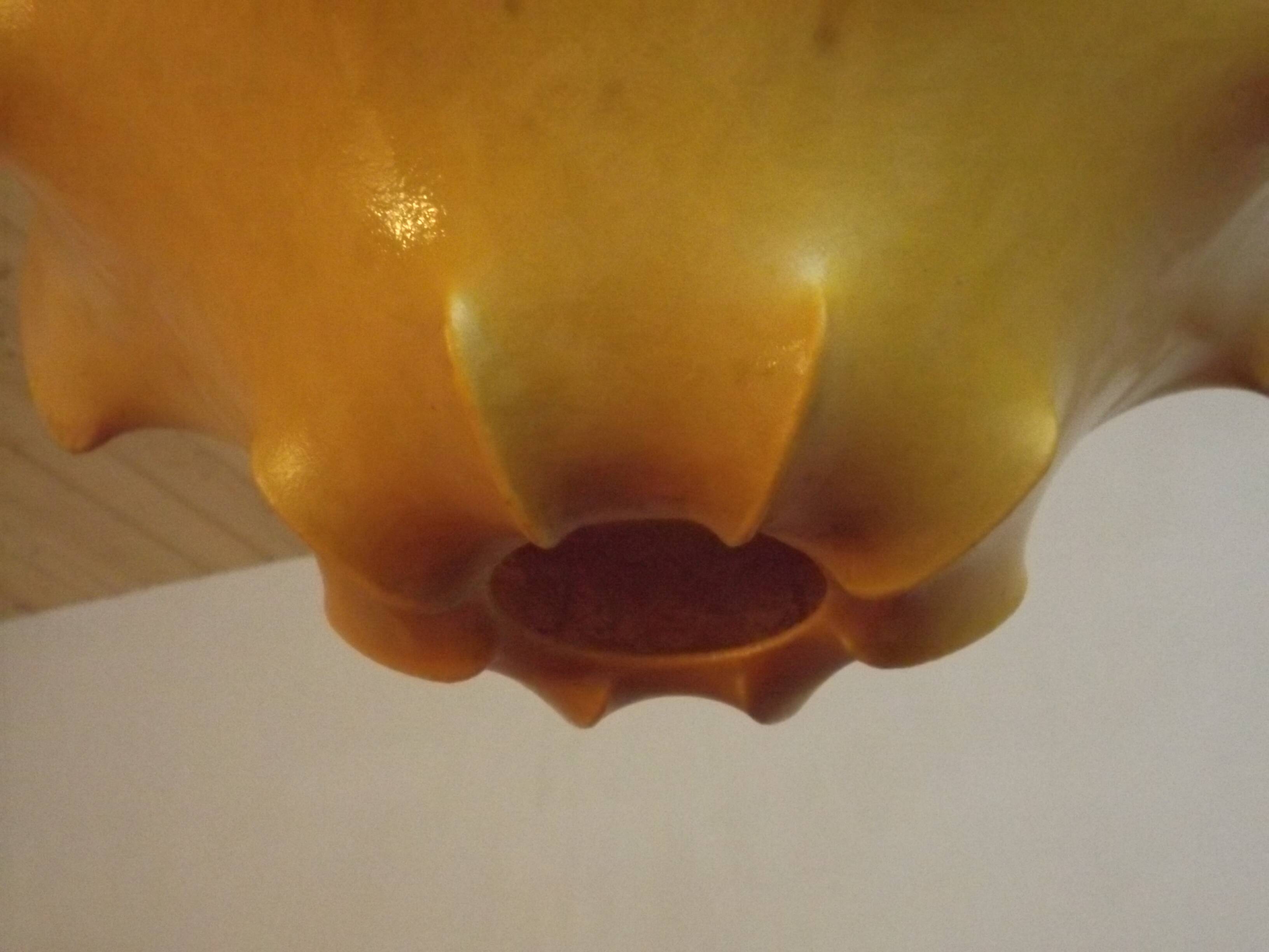 Viscontea lampe, Castiglioni, Flos