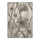 Etching signed by violayne hulné, study of clematis, 1984
