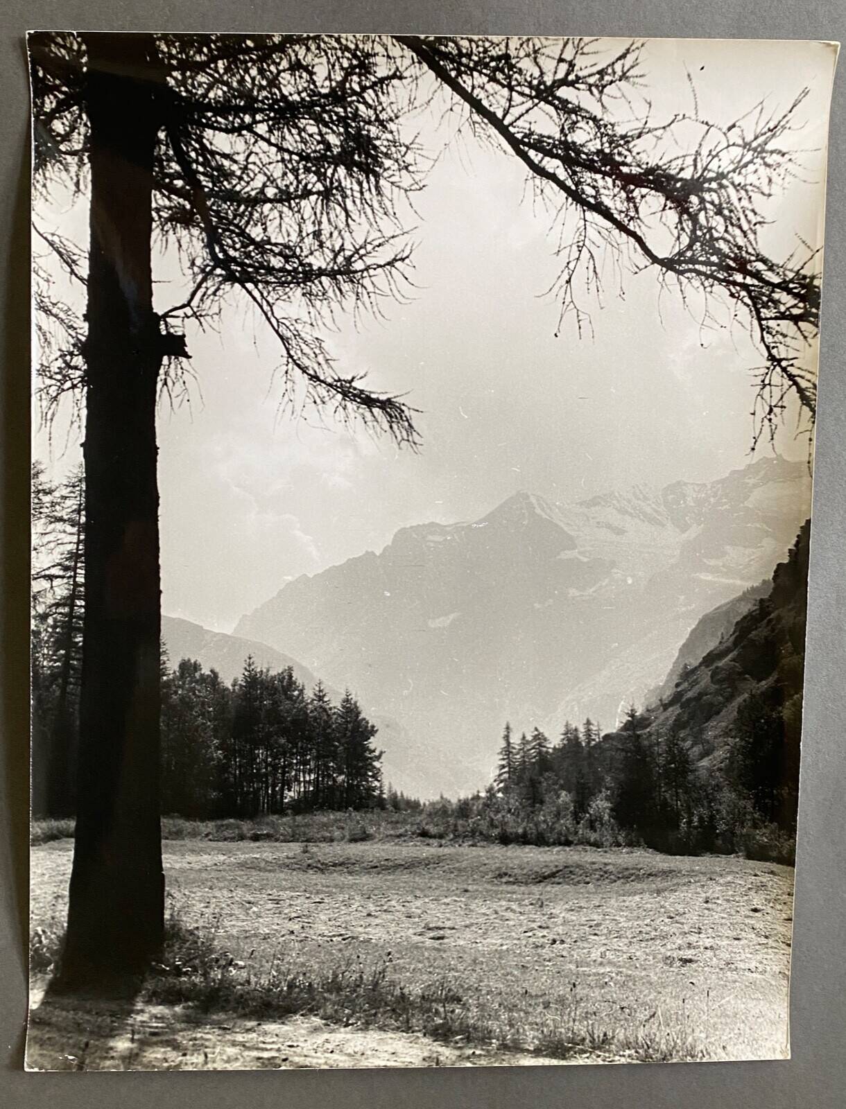 Silver photo Bernard Darot 20th Les Mélèzes