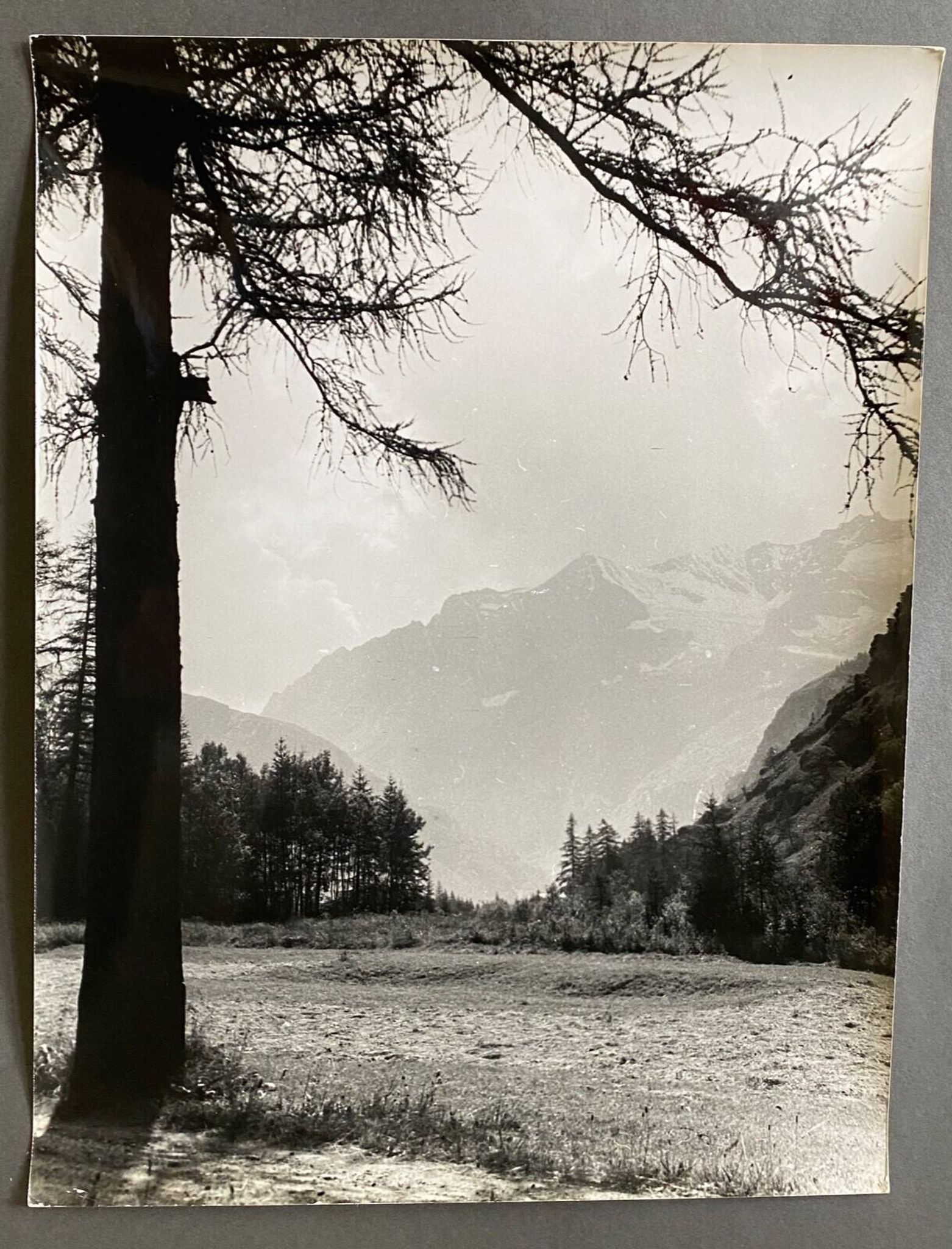 Silver photo Bernard Darot 20th Les Mélèzes