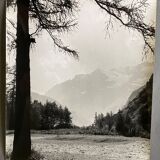 Silver photo Bernard Darot 20th Les Mélèzes