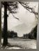 Photo argentique Bernard Darot XXe Les Mélèzes