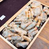 Beech wood chess board, new, with pieces in original box