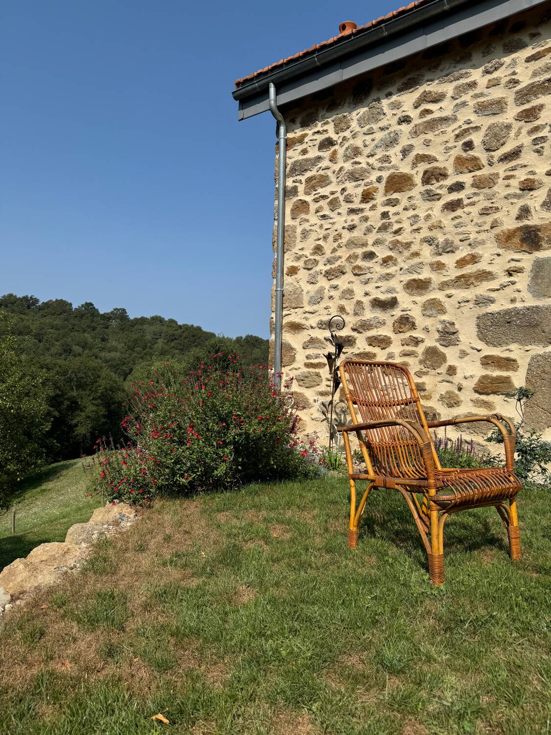 Vintage rattan armchair