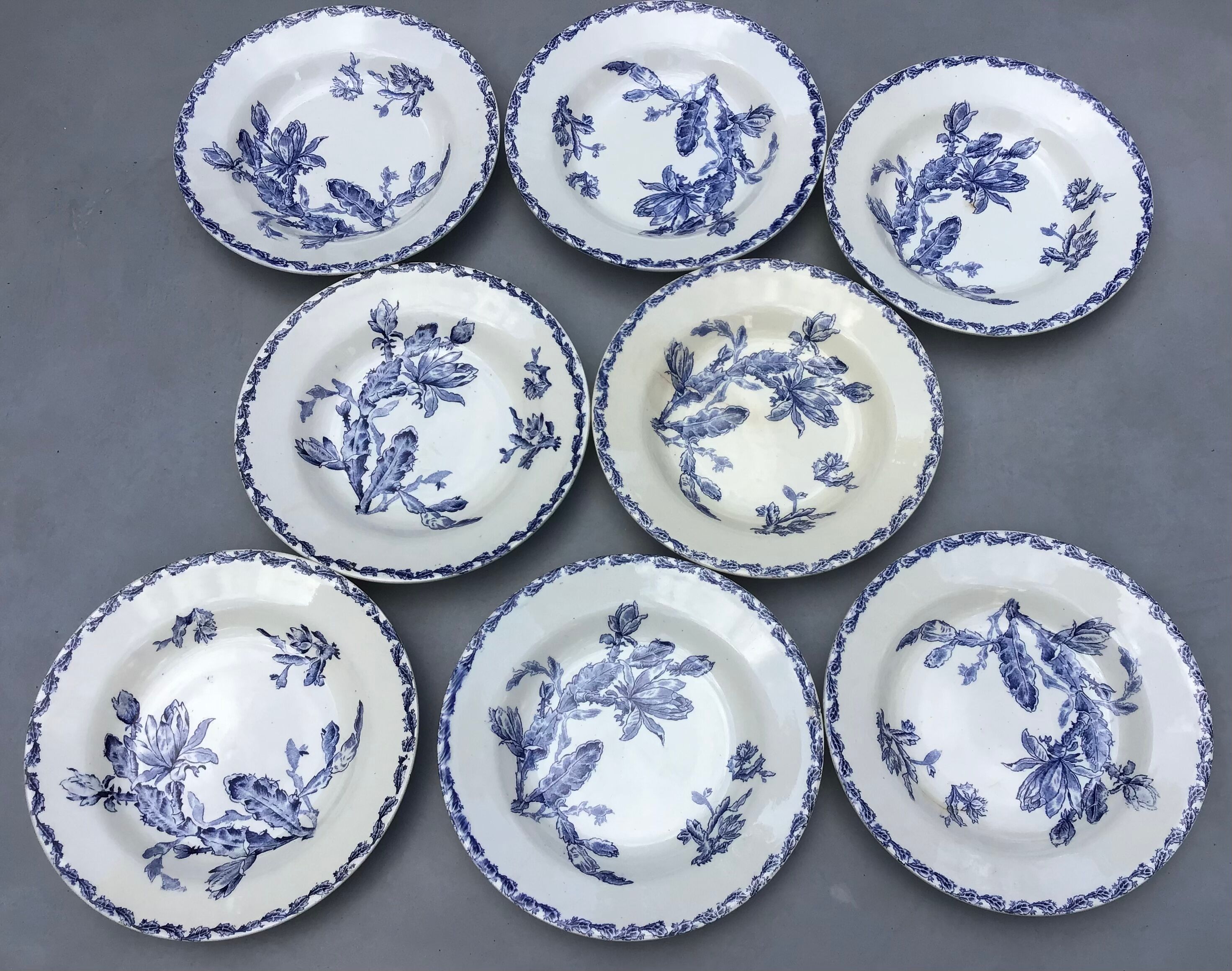 Set of 8 hollow plates Opaque porcelain from Gien decoration Cactus