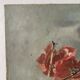 Peinture ancienne bouquet de coquelicots , toile sur chassis fleurs