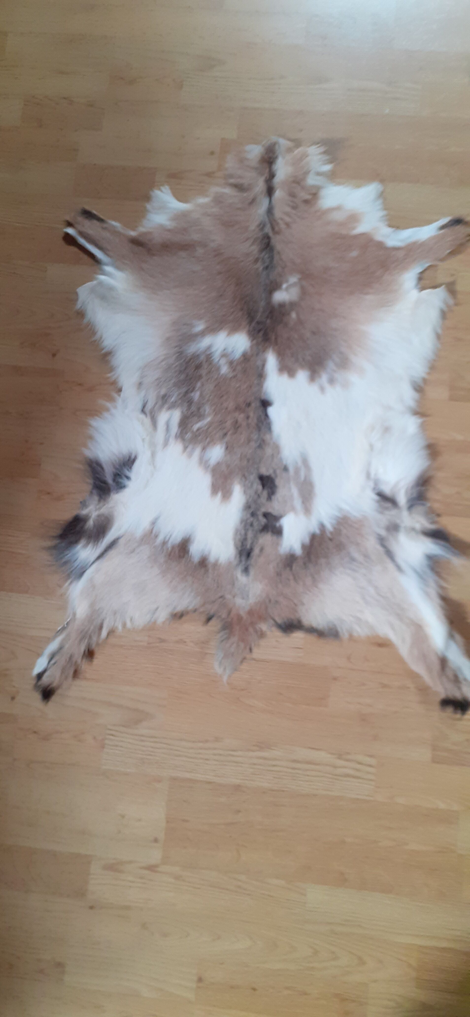 New goatskin