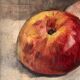 Still Life with Apples circa 1930, oil painting on canvas