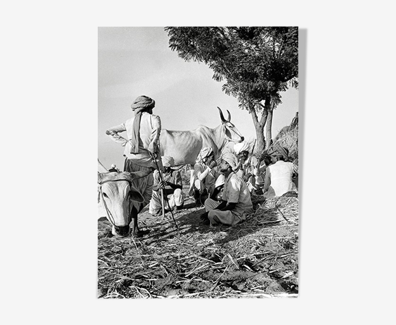 Photographie Éleveurs s'offrant une pause, Rajasthan
