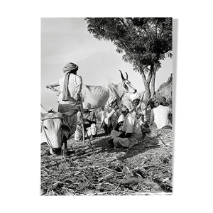 Photographie Éleveurs - une