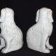 Pair of earthenware dogs (cavalier king charles)