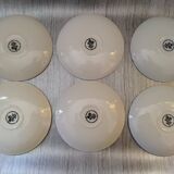 6 English cups Churchill Rosetta