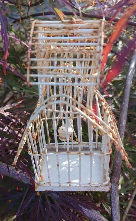 Small old birdcage