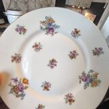 Limoges dinnerware set