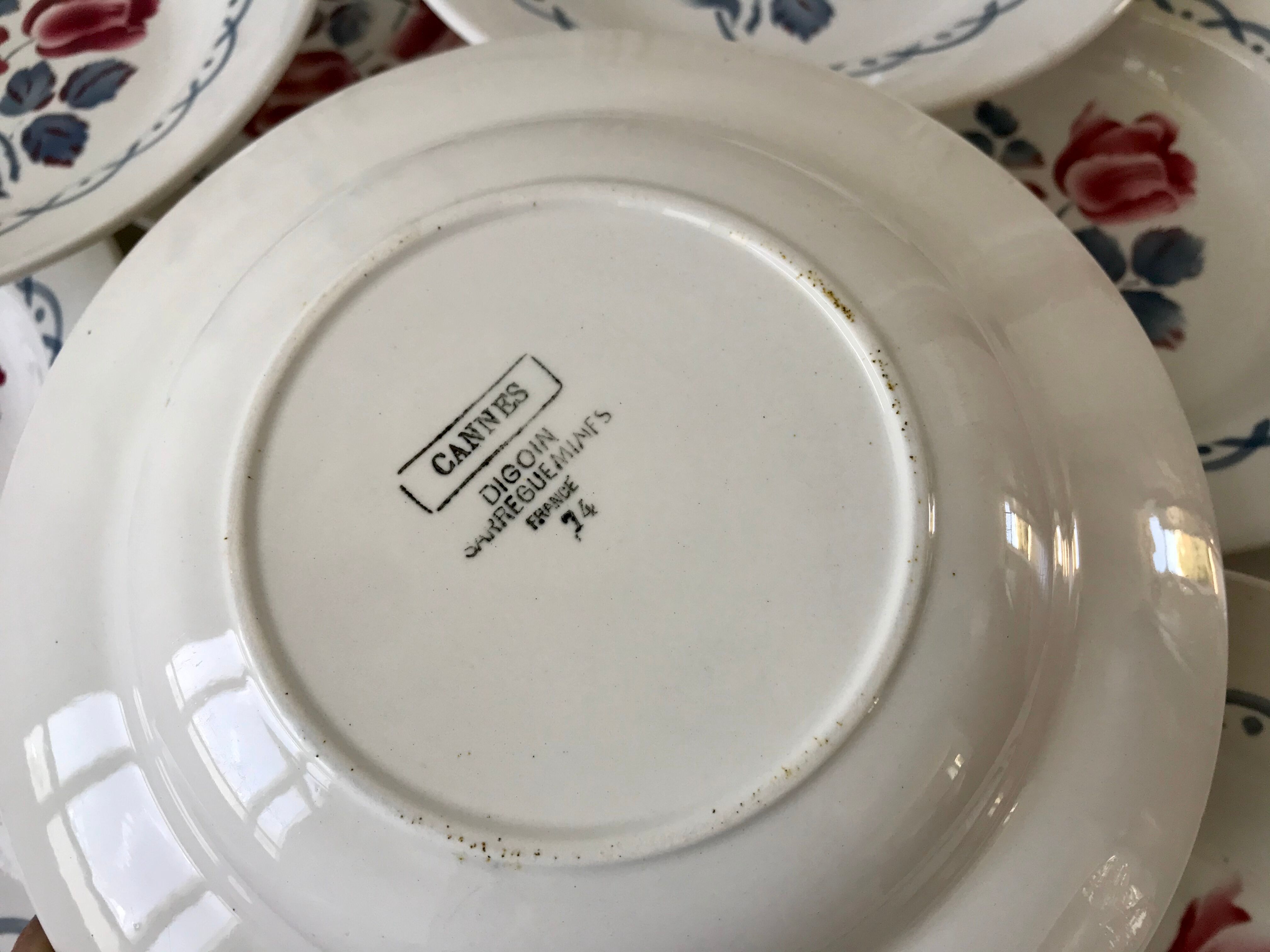 Set of 9 hollow plates Digoin Sarreguemines model "Cannes"