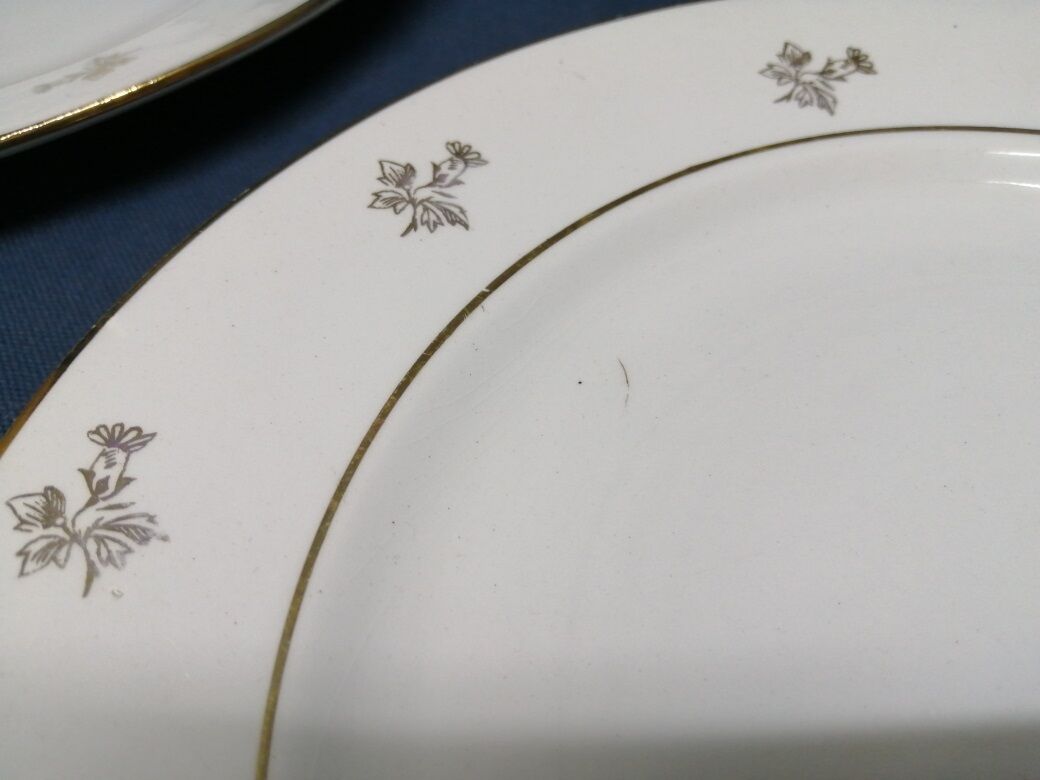Porcelain plates Opaque Provence Dorure lot of 5
