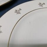 Porcelain plates Opaque Provence Dorure lot of 5