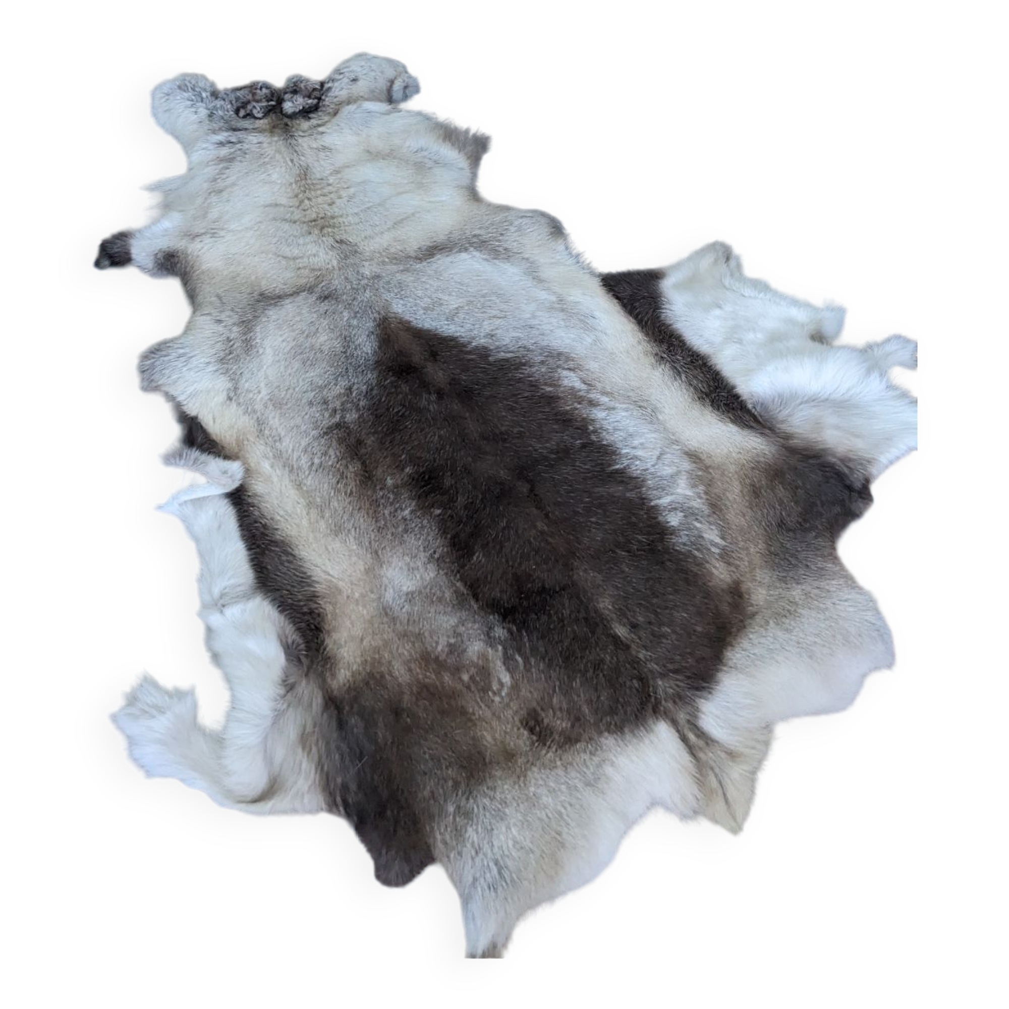 Reindeer skin rug