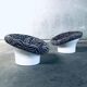 Space Age Krokus Pod Lounge Chairs by Lennart Bender for Dux, Sweden, 1968, Set of 2