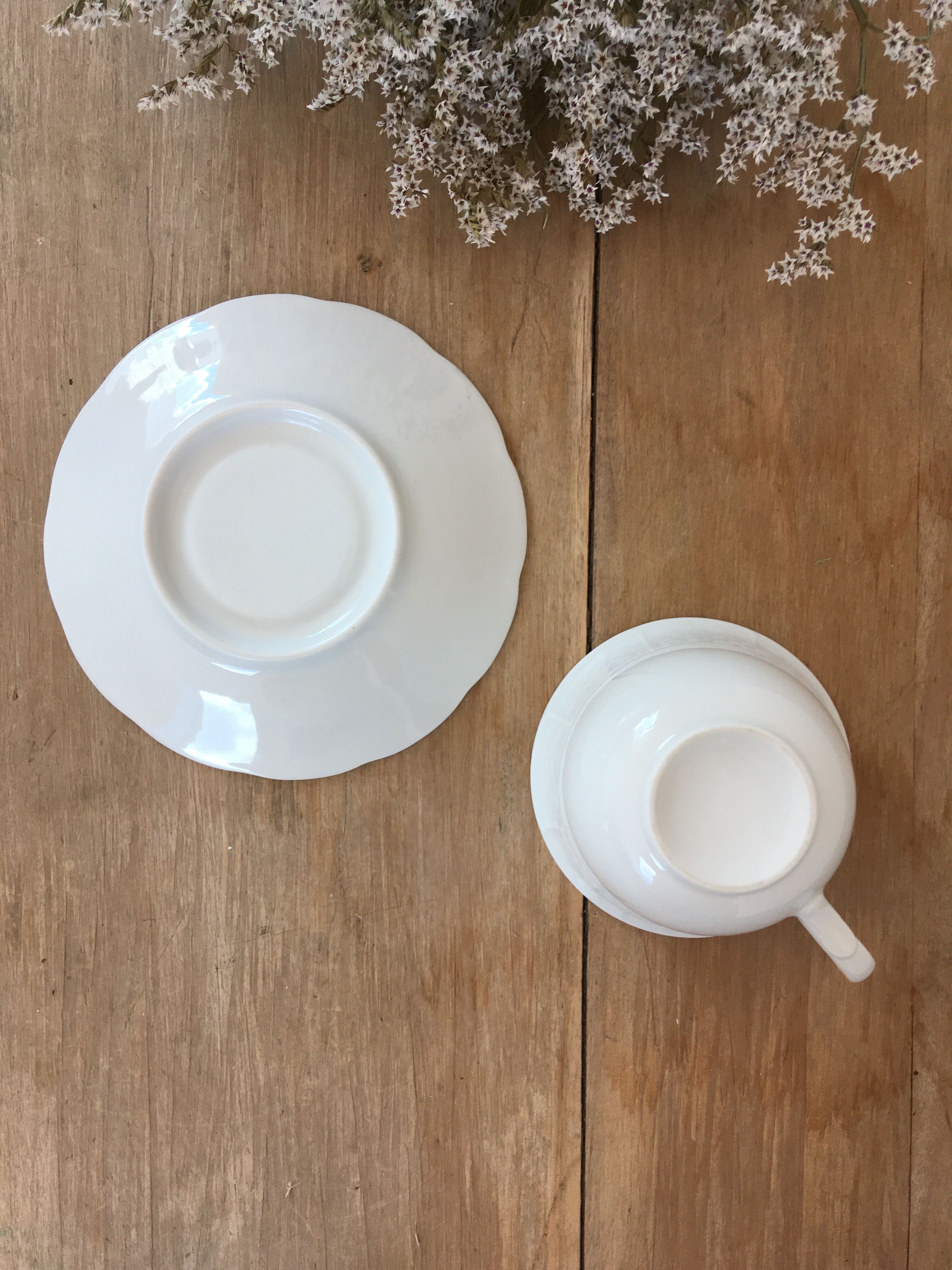 White porcelain tea cups