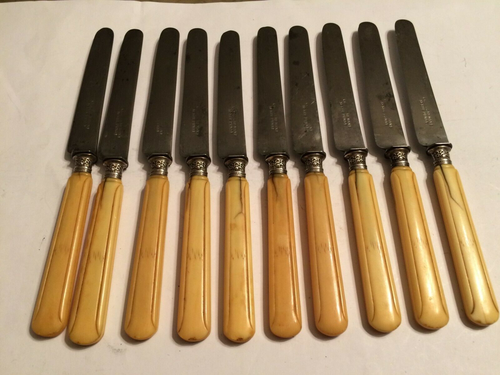 Set of 10 blade knives in steel cheese and dessert