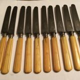 Set of 10 blade knives in steel cheese and dessert
