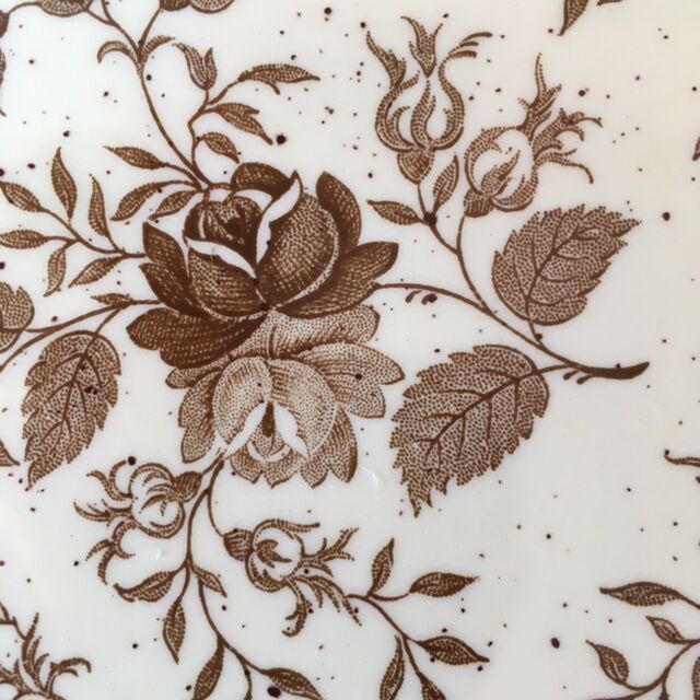 Lot 6 assiettes plates