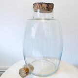 Terrarium verre