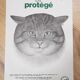 70's wild cat protection poster