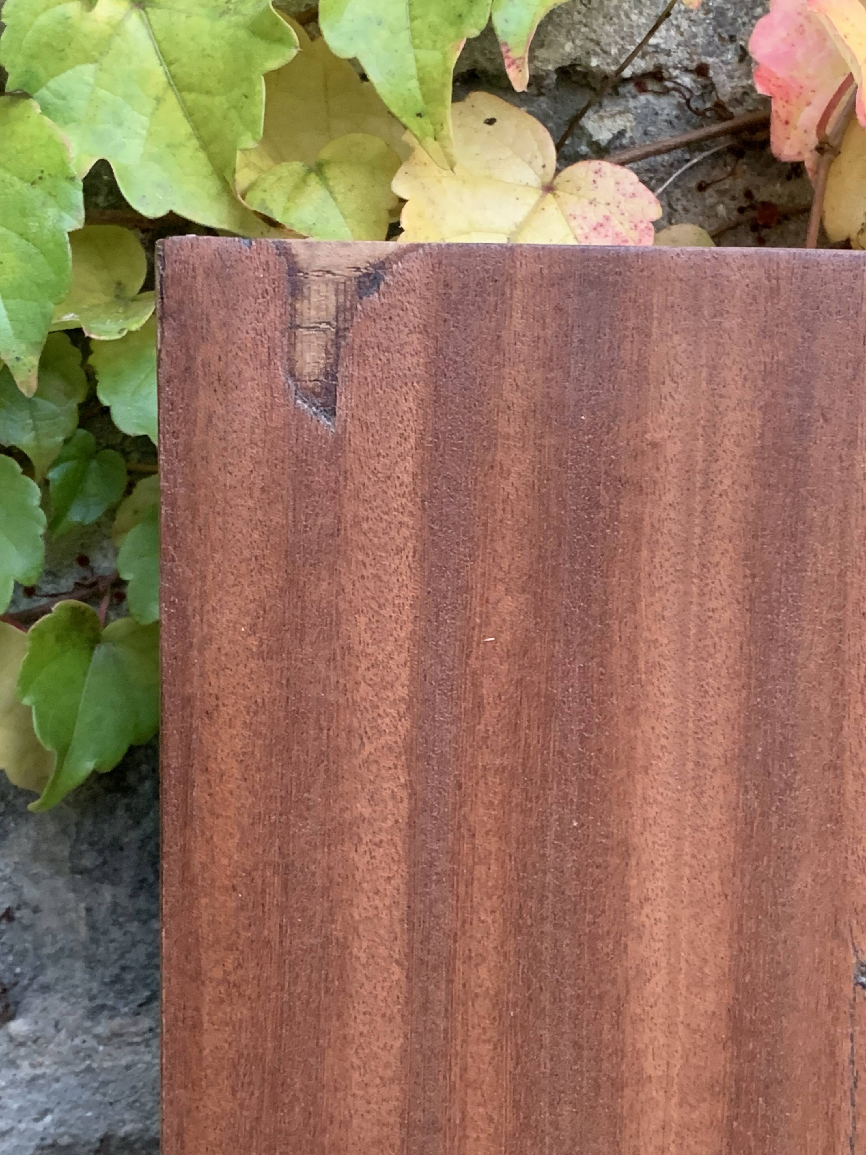 Beveled oval mirror on art deco door Mahogany 79x162