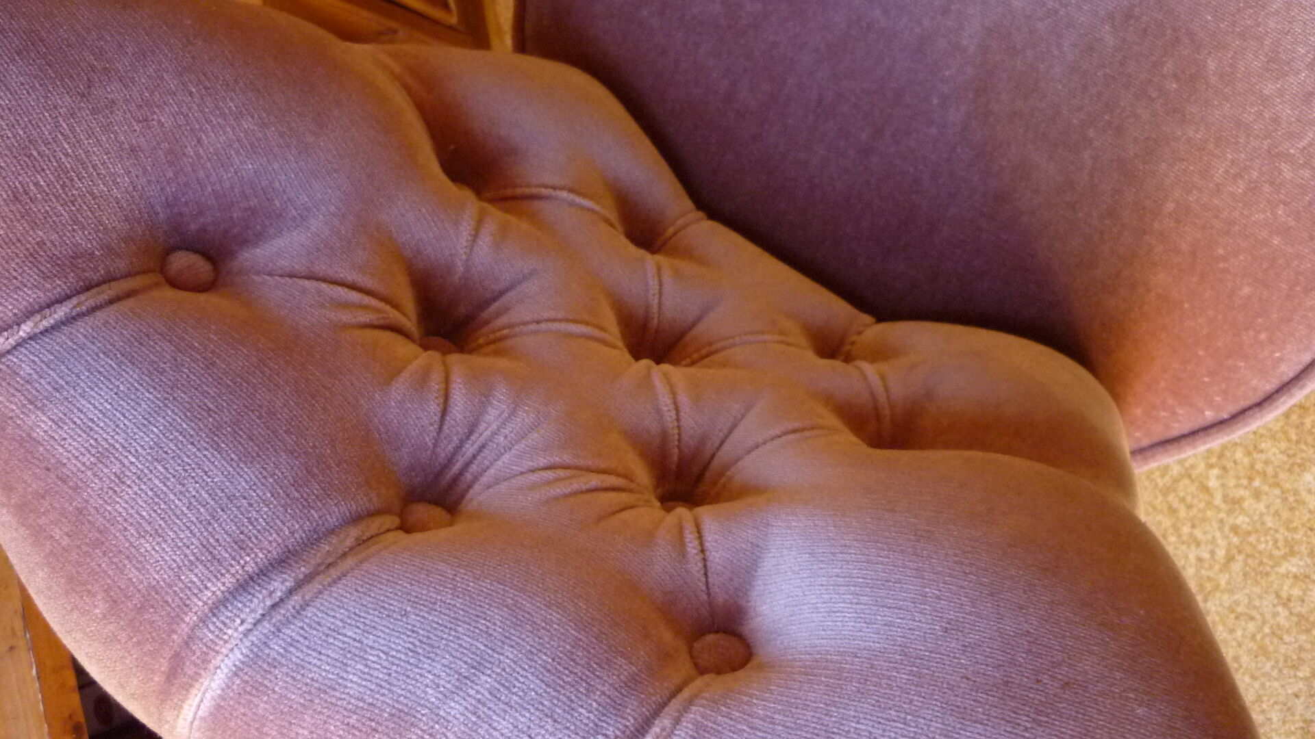 Toad padded velvet armchair