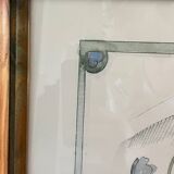 Iris flower on paper with vintage wooden frame