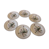 6 plates Villeroy and Boch Botanica