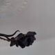 Chandelier with wrought iron and glass rose patterns