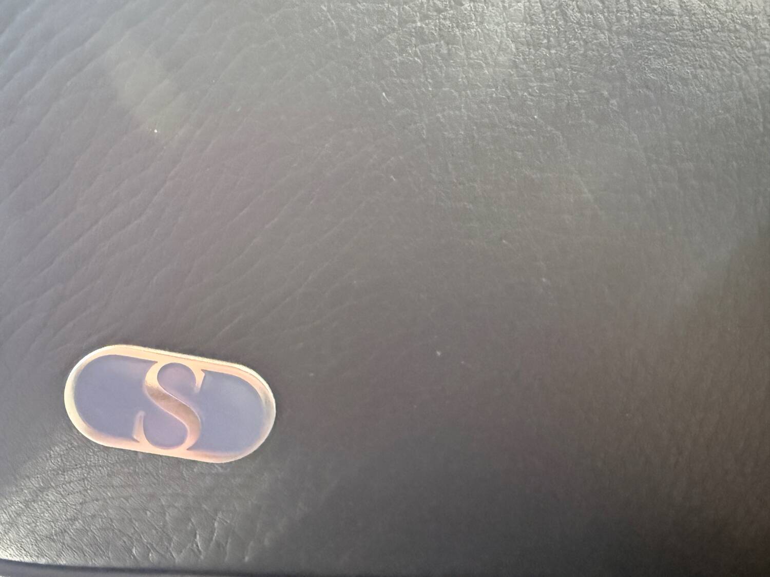 Fauteuil lounge vintage de Thomas Althaus pour de Sede, années 1990.