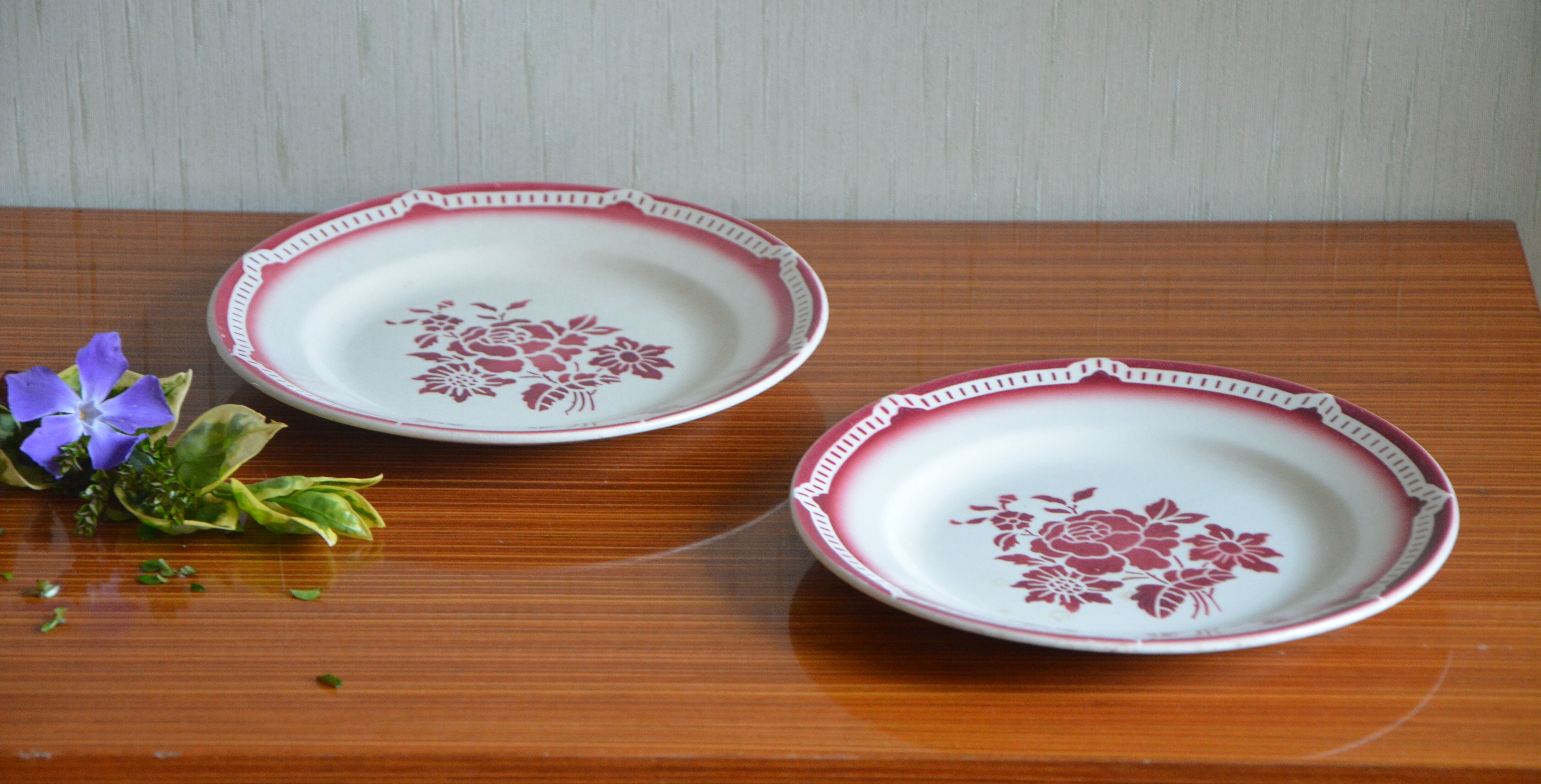 Lot de 2 assiettes Digoin et Sarreguemine, collection cevennes