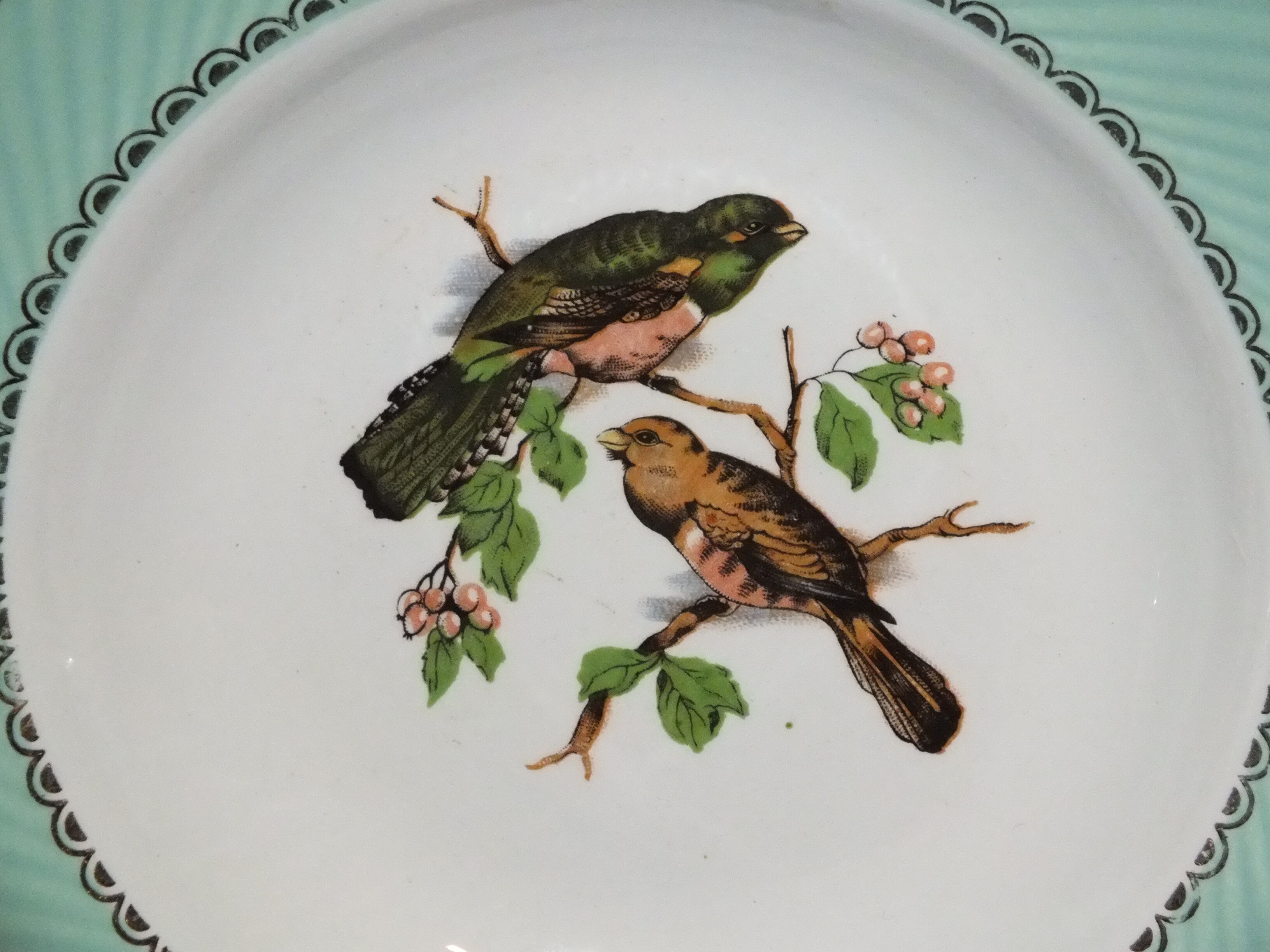 4 vintage hollow plates decorated with birds