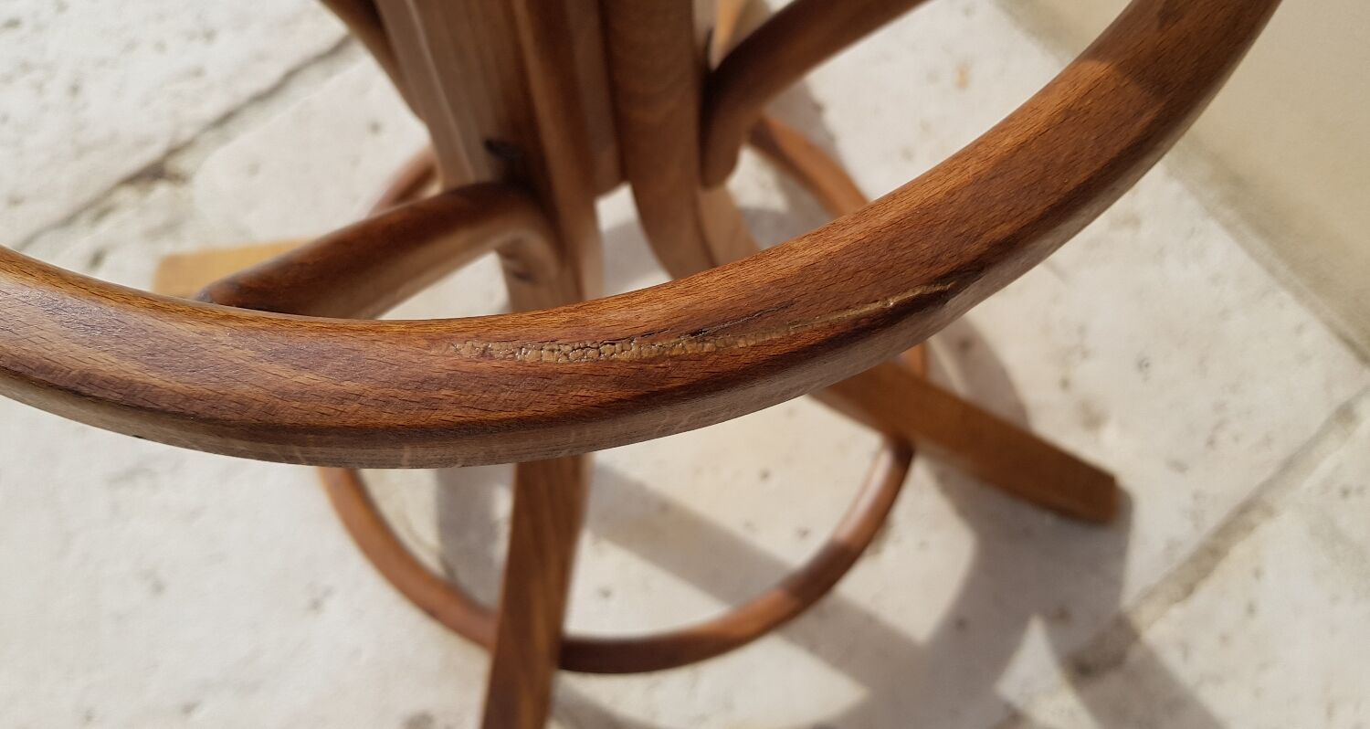 Coat rack roting parrot