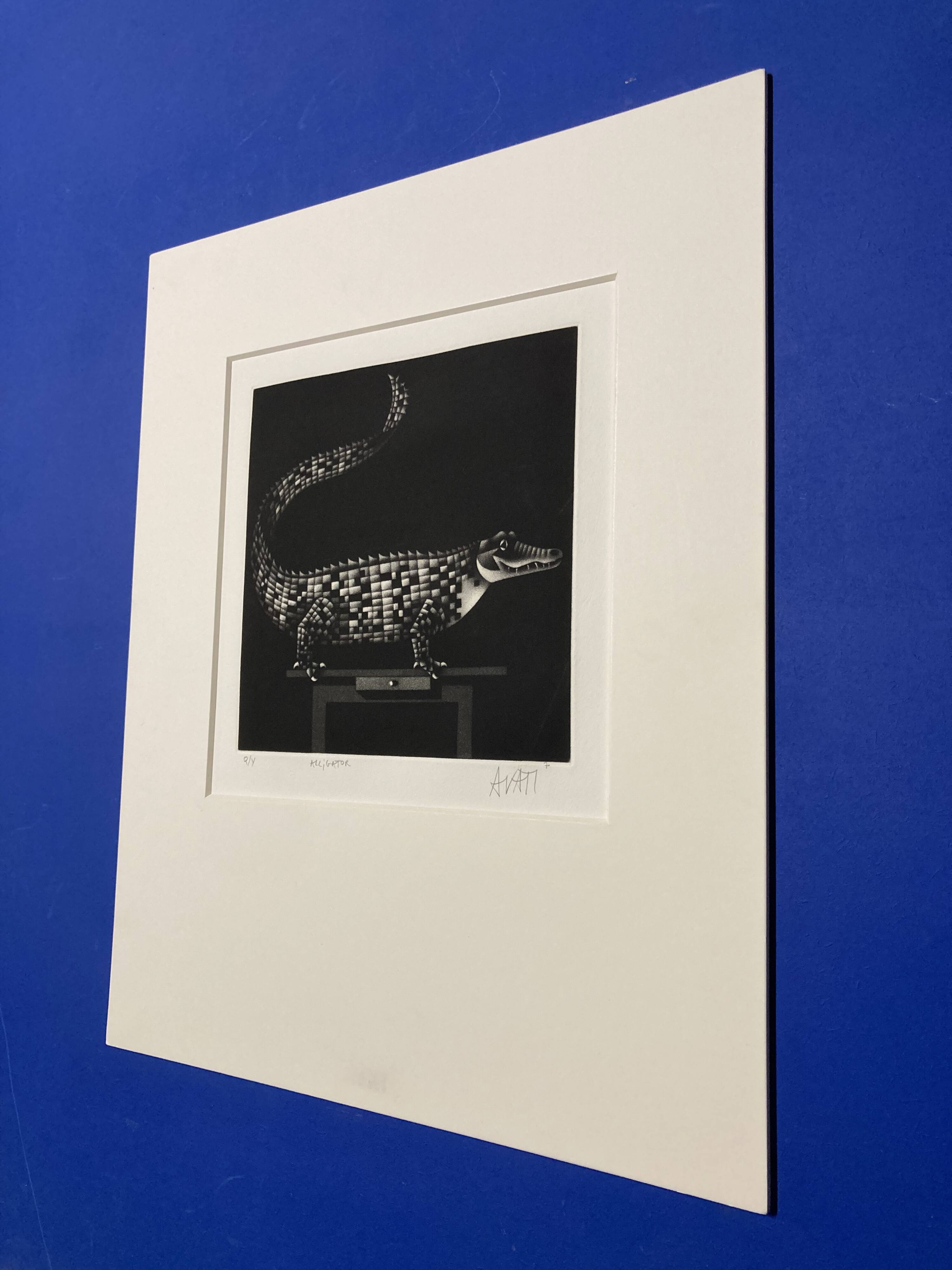 Mario avati (1921-2009), alligator, black and white, 1970