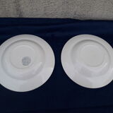 2 hollow plates Iron Earth Boulenger model Bordeaux diam 23 cm