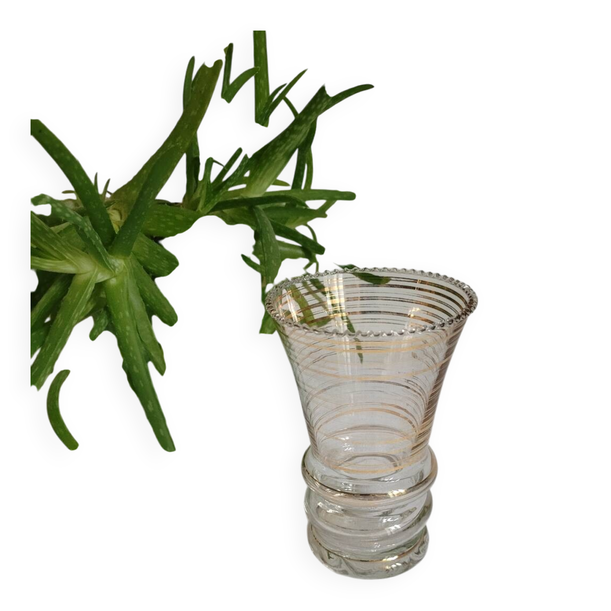 Flared glass vase with gold trim