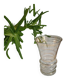 Flared glass vase with gold trim