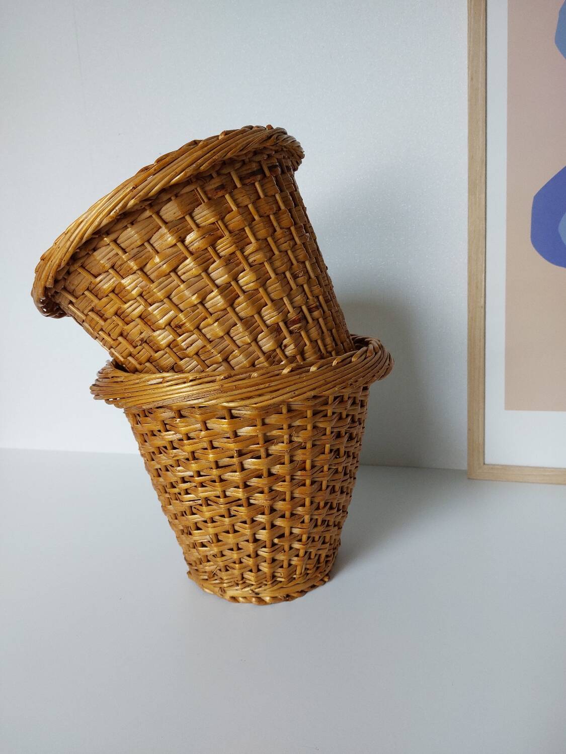Woven Wicker Plant Pots