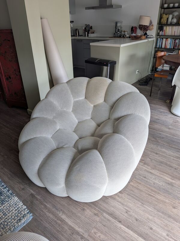 Fauteuil Bubble Roche Bobois