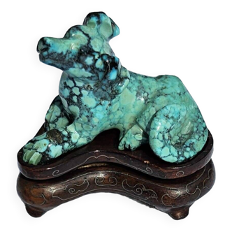 Dog in Turquoise