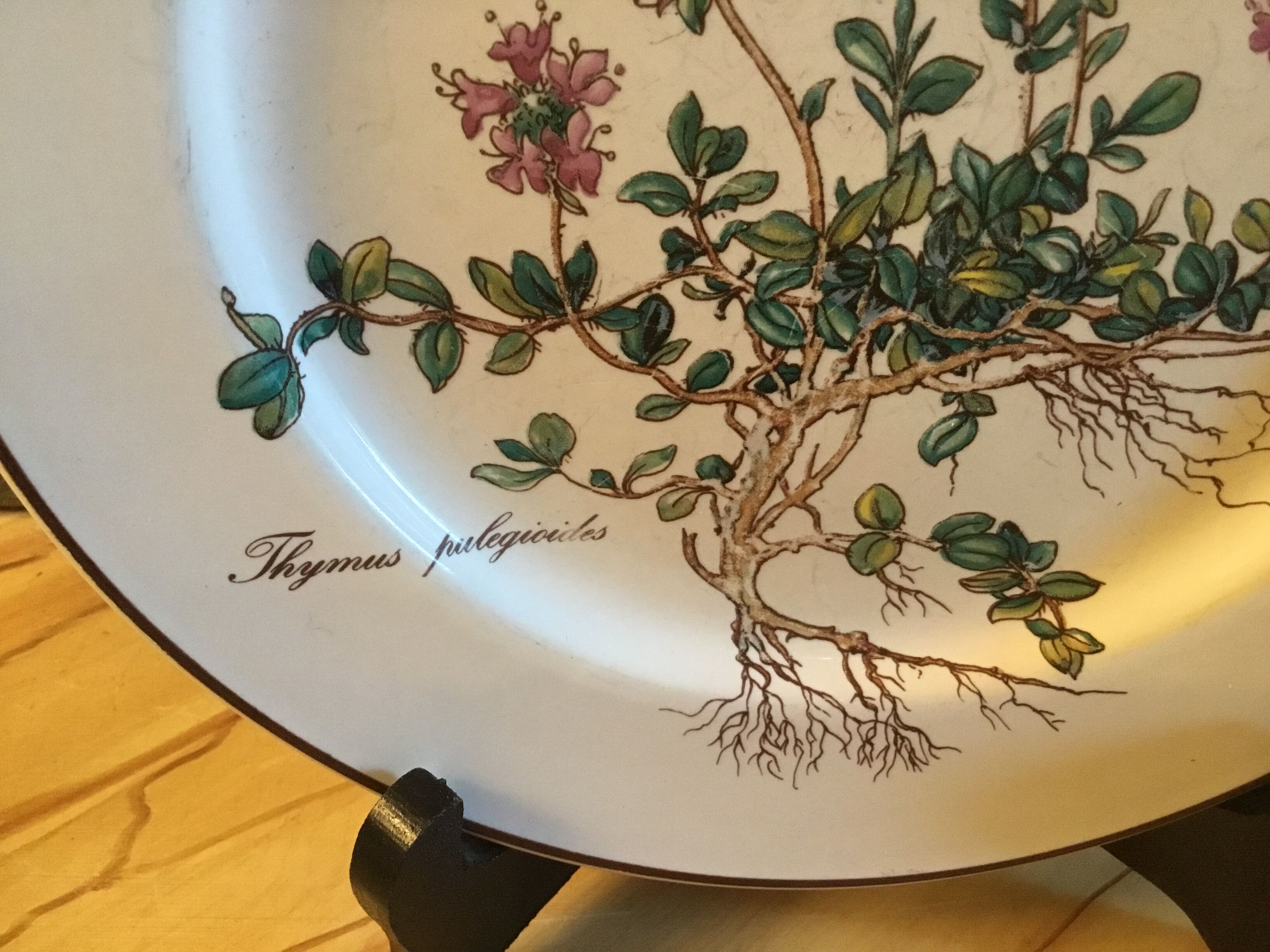 Botanica Villeroy Plates - Boch