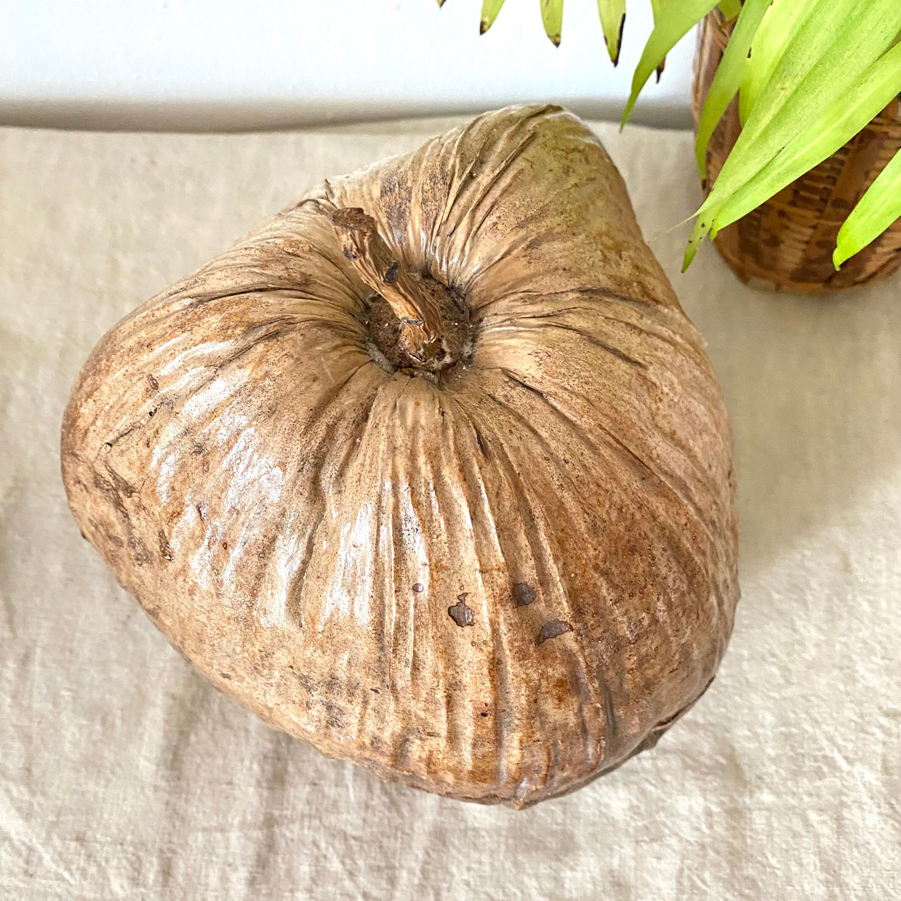 Coconut ice bucket