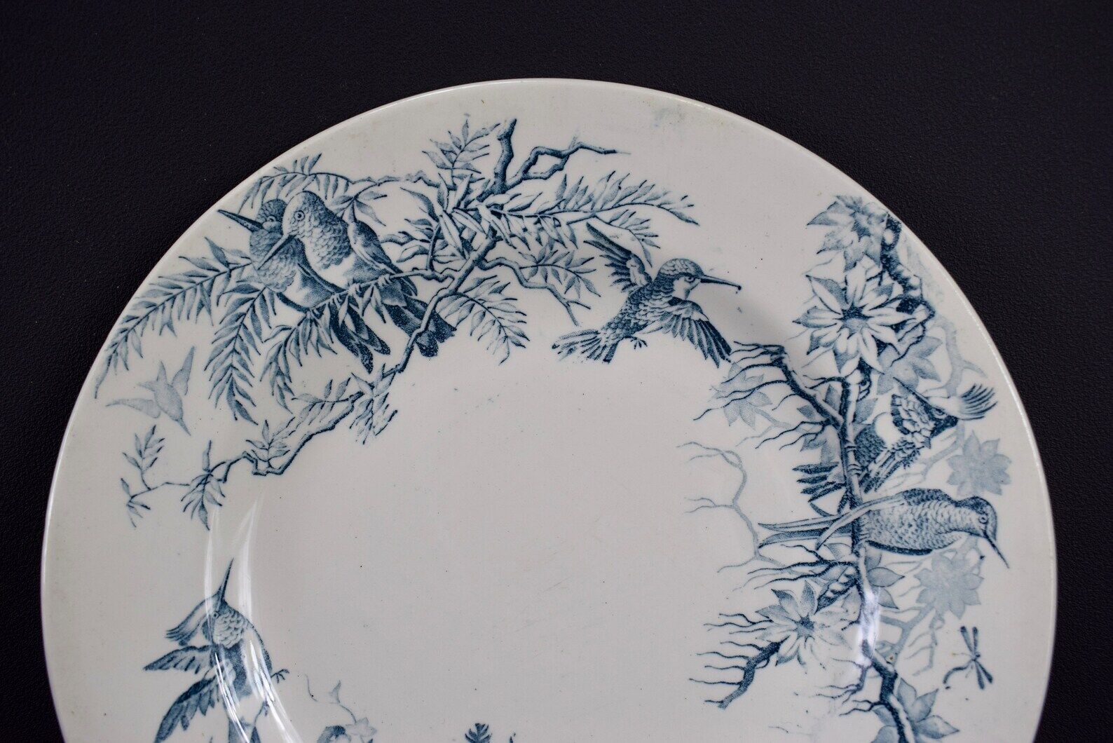 Plate colibri luneville in faience white and blue