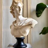 Beige bust of Apollo on black pedestal