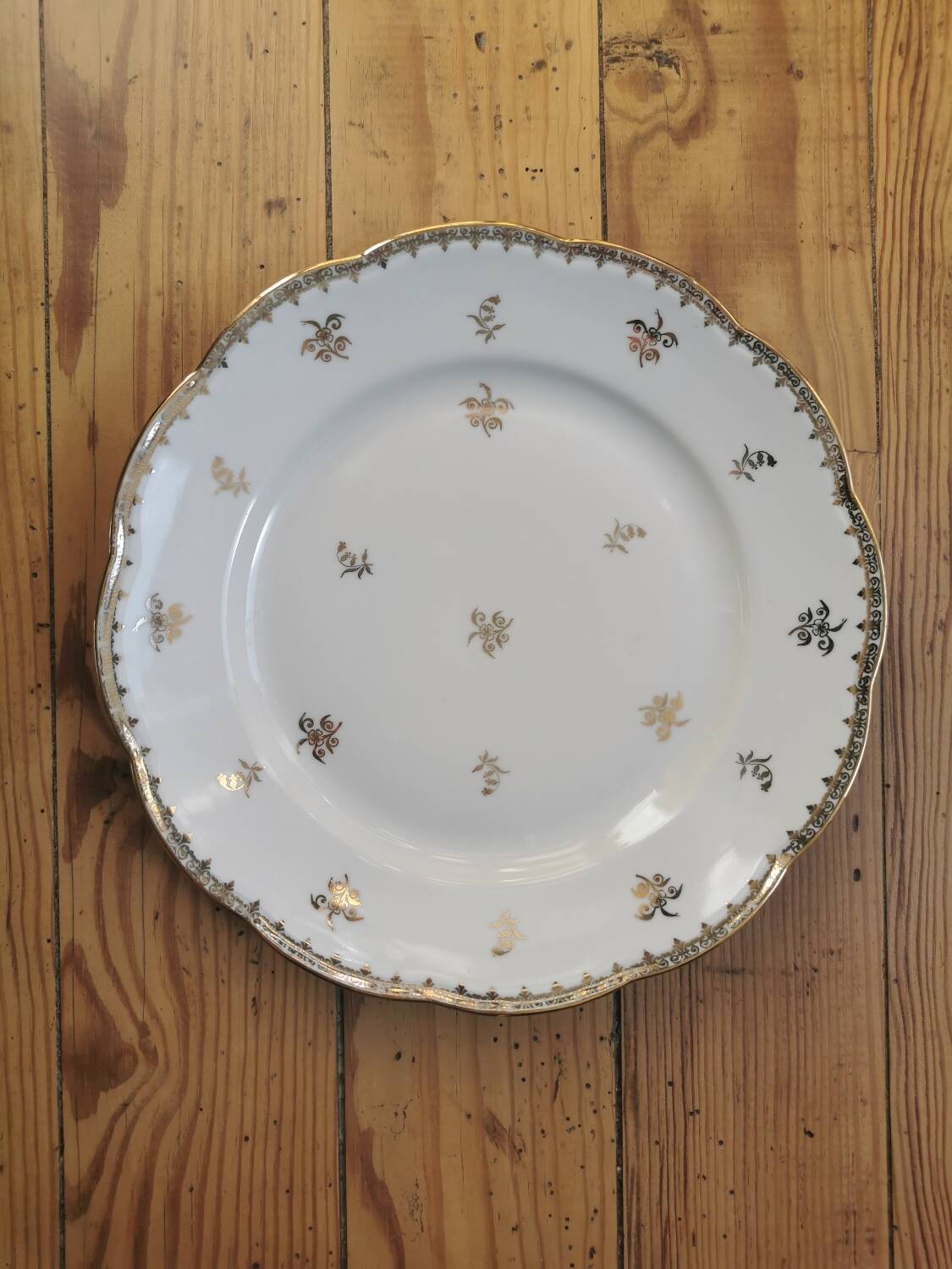 Old SFP porcelain dinner plates